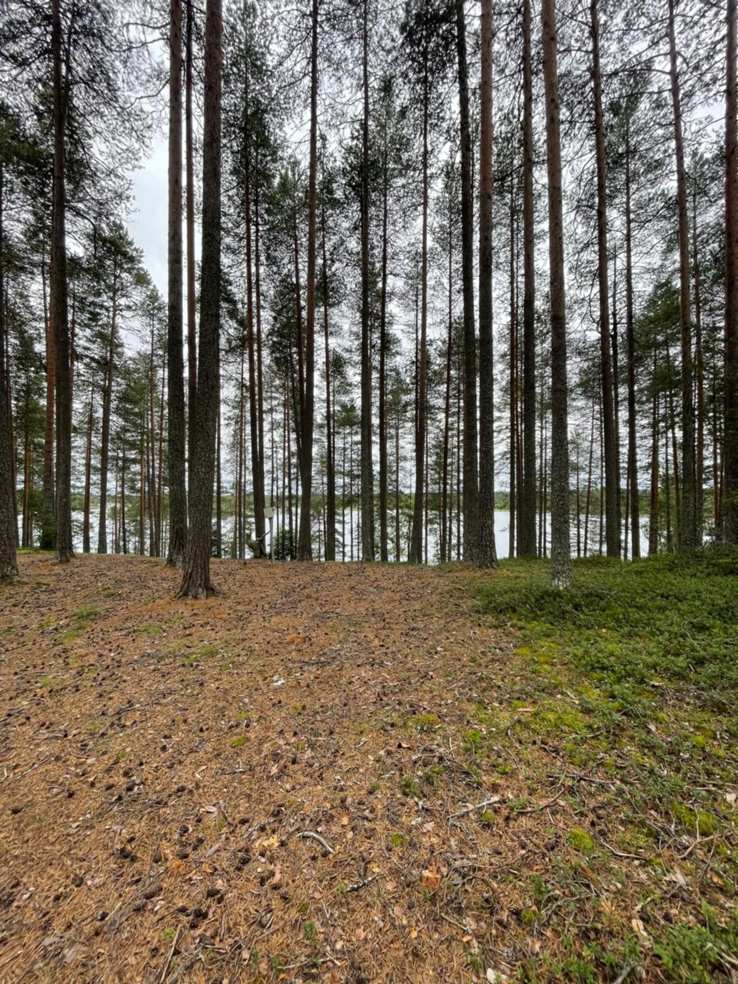 Laahtanen Camping Hotel Ristijärvi Exterior foto